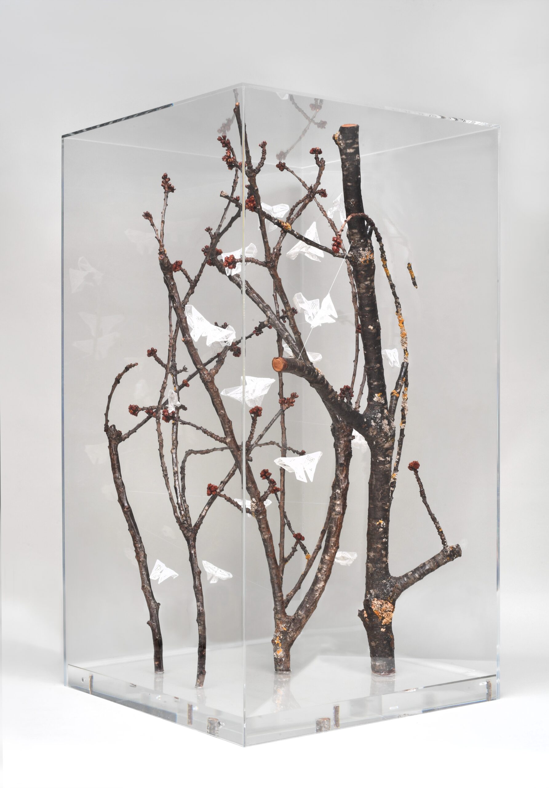 Exhibition at Musée des Beaux-Arts et de la Dentelle