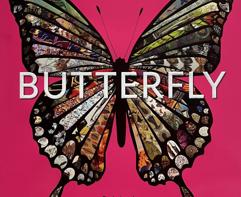 BUTTERFLY Exploring the World of Lepidoptera