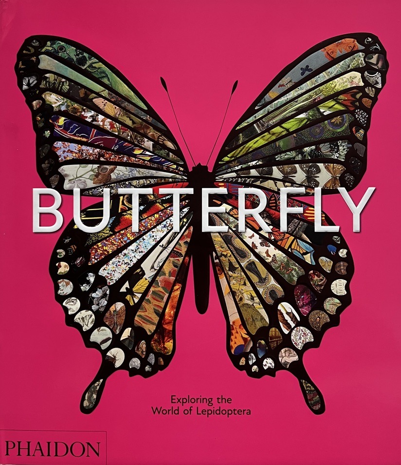 BUTTERFLY Exploring the World of Lepidoptera